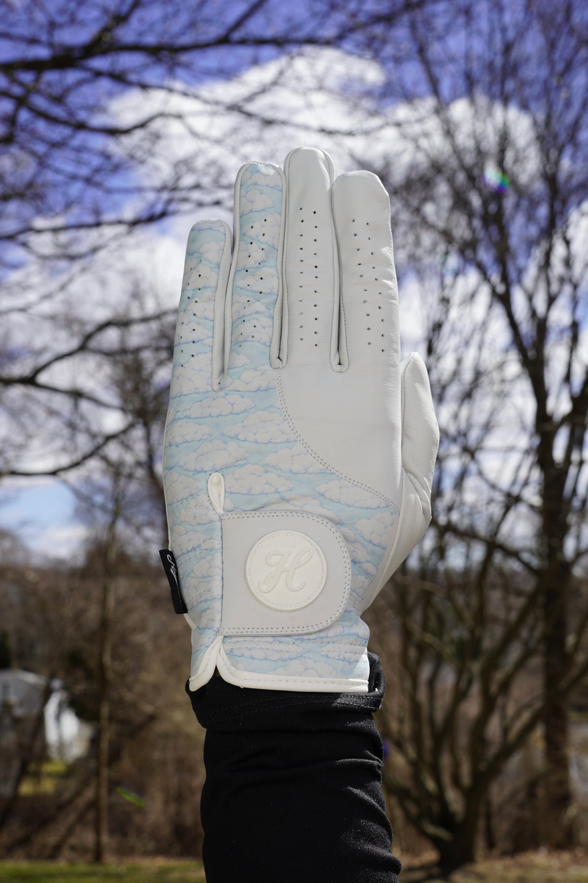 ticket to heaven handschuhe größen 'Heaven Is Beautiful' Hallowed Performance Golf Glove