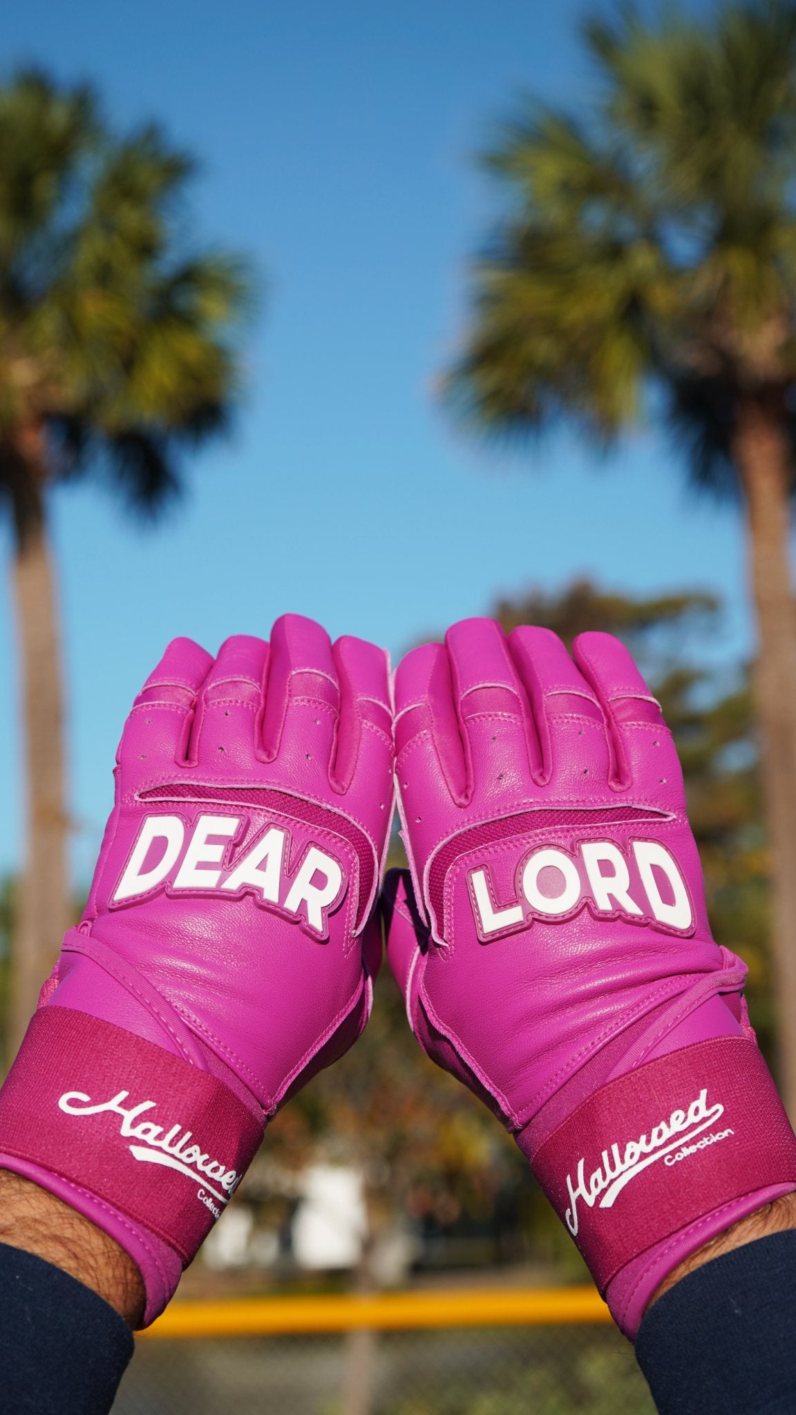 Pro Long Cuff Cabretta “DEAR LORD” Batting Gloves - Hallowed Collection